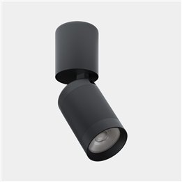 Plafon Iris Surface Hoop 35º 18.1 Blanco cálido - 3000K CRI 90 DALI-2 Gris/Gris/Transparente IP23 1835lm Leds C4 New