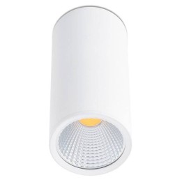 Foco Plafón LED blanco Faro REL