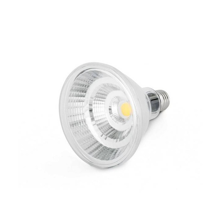 Bombillas LED Faro PAR38 E27 LED 12W IP65 3000K 810Lm