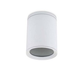 Lampara PLAFON COSMOS 1 x E27/PAR-30 MAX 75W  BLANCO Leds C4
