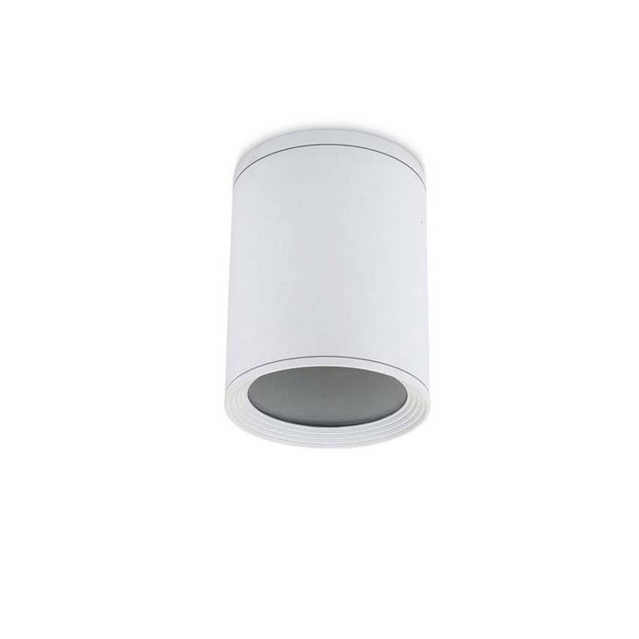 Lampara PLAFON COSMOS 1 x E27/PAR-30 MAX 75W  BLANCO Leds C4