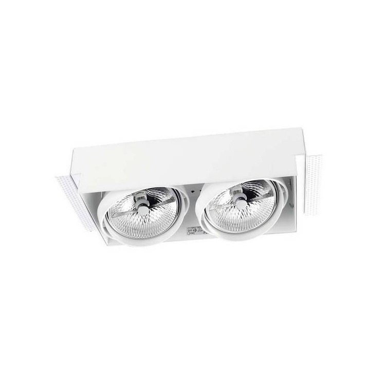 Lampara EMPOTRABLE DE TECHO MULTIDIR 2 x G53 MAX.100W  BLA Leds C4