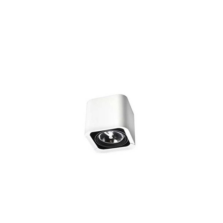 Lampara PLAFON BACO 1 x G53 MAX. 75W  BLANCO NEGRO Leds C4