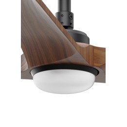 Faro HEY/HEYWOOD Kit de luz negro SWT 10W dimable - Faro 3L041