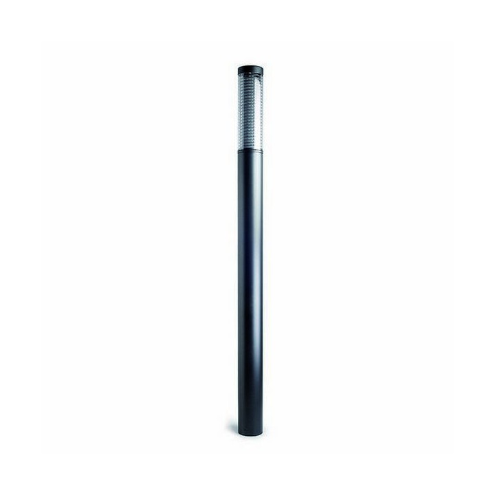 Columna para Farolas YAIZA IP65 E27 2x70W 260cm Antracita