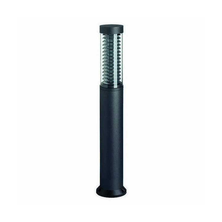 Baliza para Exterior MAXIMA-PLUS IP55 24W 2G11 Transparente Antracita