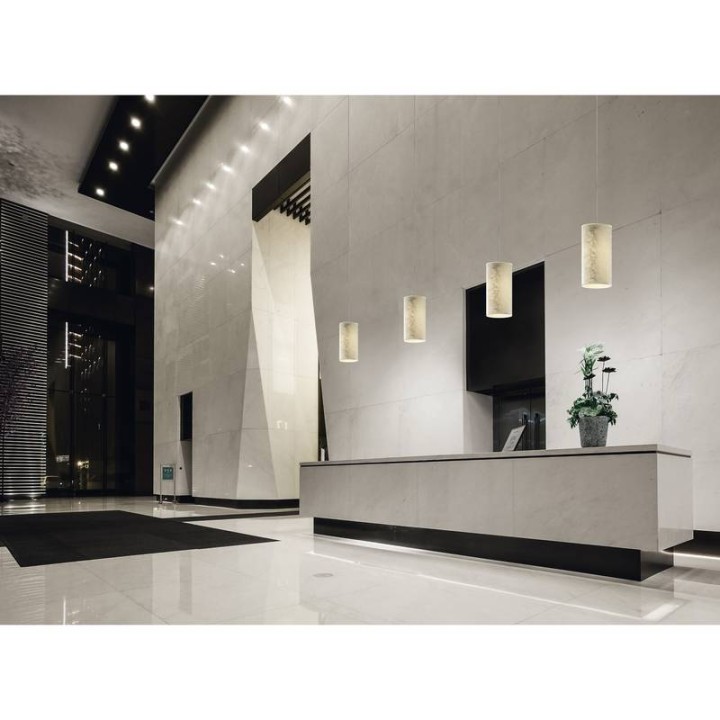 Lámpara colgante SELMA IP20 E27 60W 15cms Plata EXO 840B-G05X1A-55