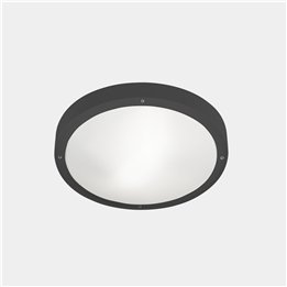 Plafón IP66 BASIC LED 11.7W 2700K Gris urbano 1269lm Leds C4 15-E049-Z5-EH