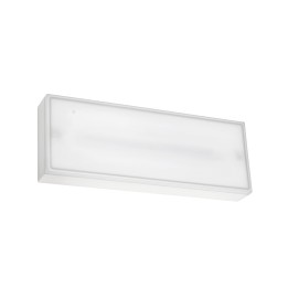 Luminaria de emergencia DECO Superficie IP65, 100lm -1h /Permanente+Autotest Leds C4 EM02-0100PA1400