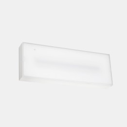 Luminaria de emergencia DECO Superficie IP65 DALI, 300lm -3h /No Permanente+Autotest Leds C4 EM02-0303NA1401