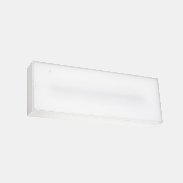 Luminaria de emergencia DECO Superficie IP65 DALI, 300lm -3h /No Permanente+Autotest Leds C4 EM02-0303NA1401