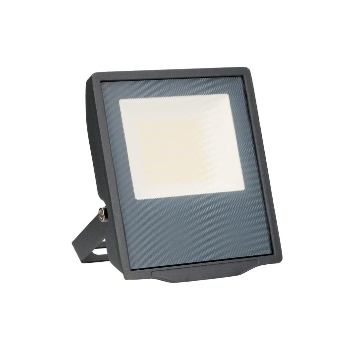 Proyector IP66 Pro Big LED 30W 4000K Gris urbano 2370lm Forlight PX-0153-ANT