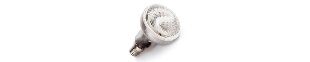 Distribuidores Mayoristas de Iluminación - Bombillas de bajo consumo E14 R50