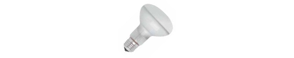 Distribuidores Mayoristas de iluminación - Bombillas Bajo consumo E27 R80 EcoH